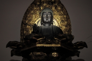 wsa021