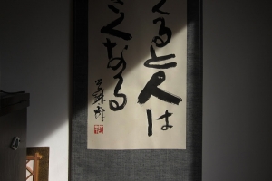 wsa033