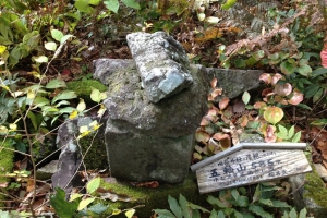 album_2012_nov_hiking_041