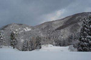 album_tanbo_2011_2012_00100