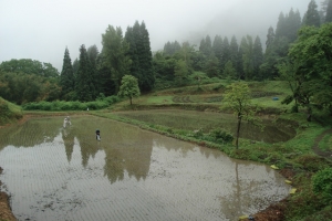 album_tanbo_2011_2012_00630