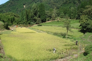 album_tanbo_2011_2012_00901