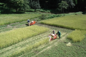 album_tanbo_2011_2012_00920