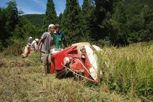 album_tanbo_2011_2012_00930