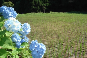 album_tanbo_2011_2012_110909087