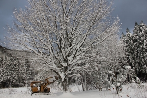 album_2012_dec_5831