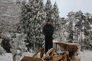 album_2012_dec_5843