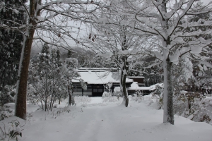 album_2012_dec_5891