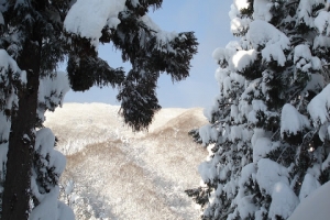 adsc08202