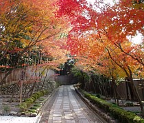 僧堂の入り口。