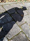 Shadow
