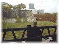 Muho in the park in Osaka