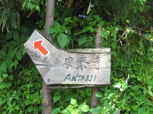 池ヶ平口（いけがなるぐち）バス停。ここから安泰寺まで山道（４km）が続きます